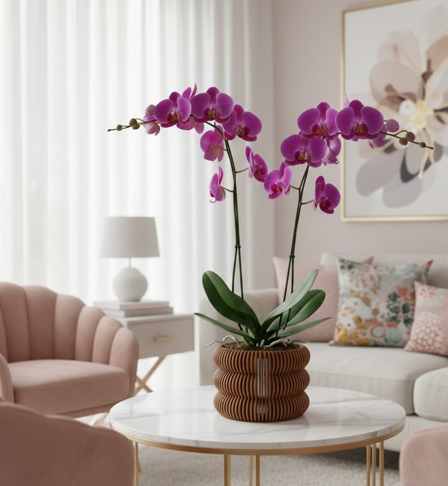 Kurga Pflanztopf – Wellenform trifft Funktionalität für Orchideenliebhaber