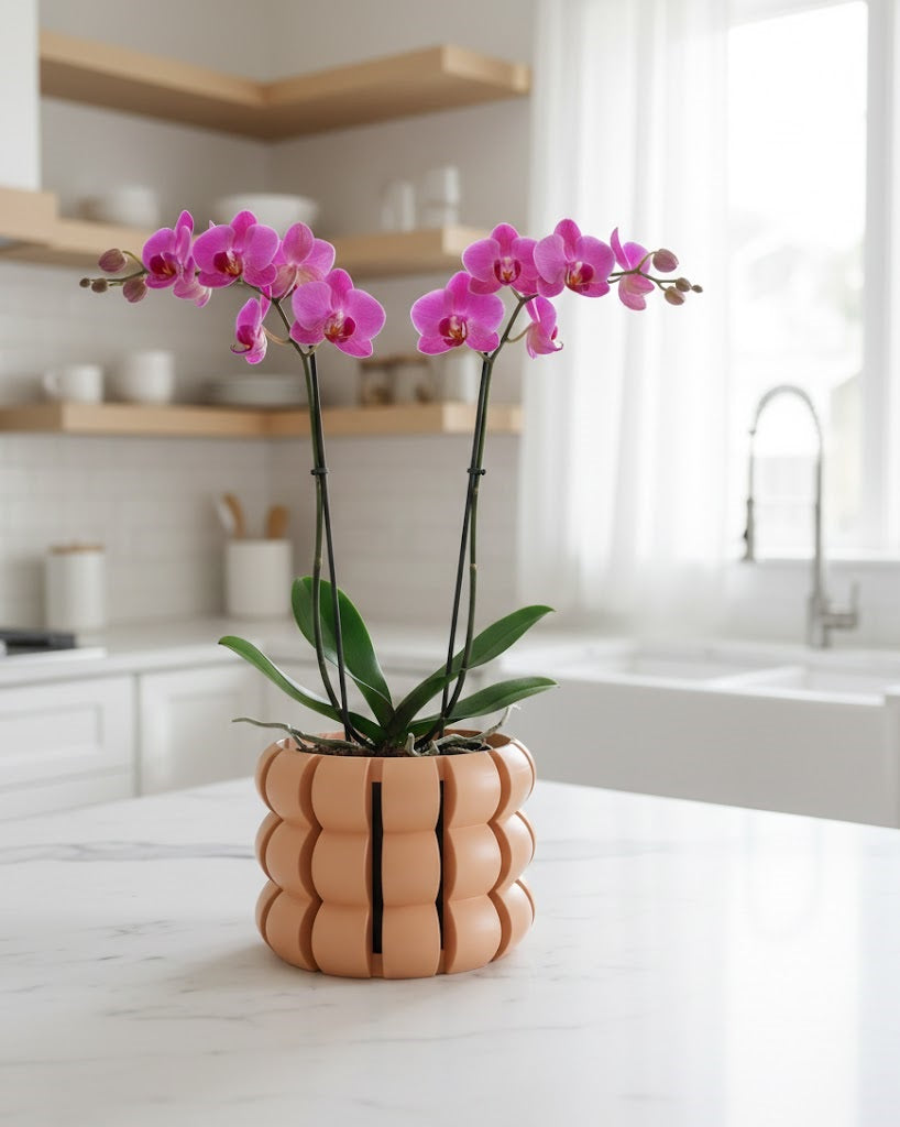 Lami 3D Orchideen-Pflanztopf – Skulpturale Eleganz trifft Pflanzenkomfort