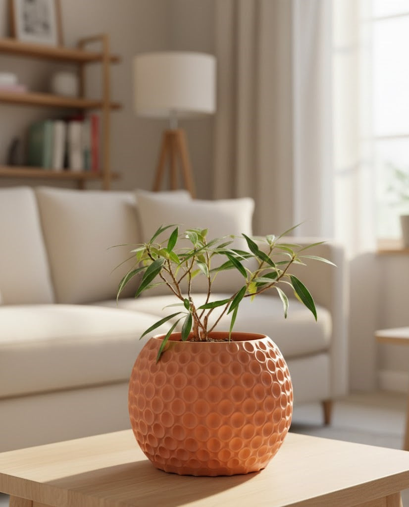 Bubble Planter Pot – Der verspielte 3D-Pflanztopf mit Struktur