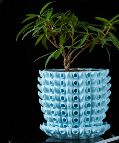 Barnacle – Der 3D-Pflanztopf mit organischer Tiefenstruktur