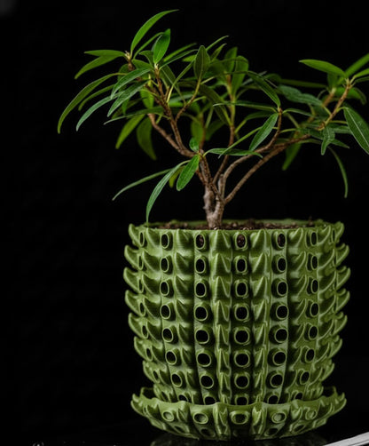 Barnacle – Der 3D-Pflanztopf mit organischer Tiefenstruktur