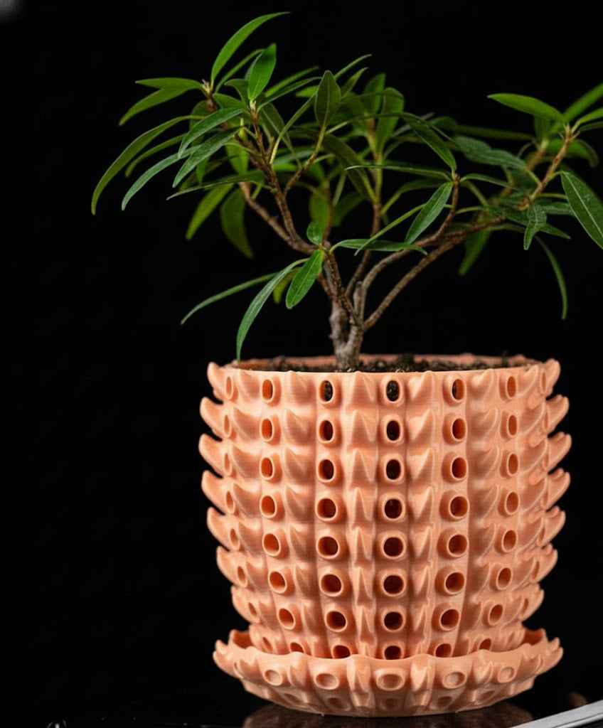 Barnacle – Der 3D-Pflanztopf mit organischer Tiefenstruktur