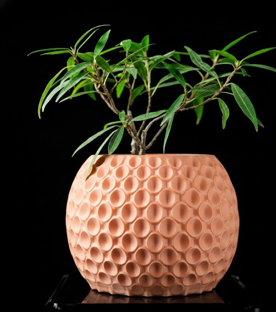 Bubble Planter Pot – Der verspielte 3D-Pflanztopf mit Struktur