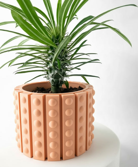 Belio Pflanztopf – Statement in Struktur