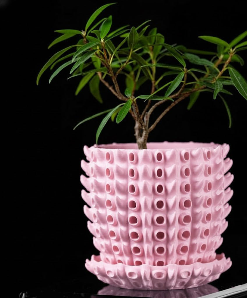 Barnacle – Der 3D-Pflanztopf mit organischer Tiefenstruktur