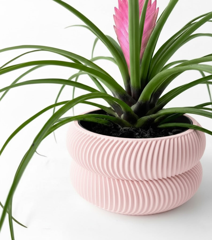 Avex Pflanztopf – Skulpturaler 3D-Pflanztopf mit organischer Doppelwellenform