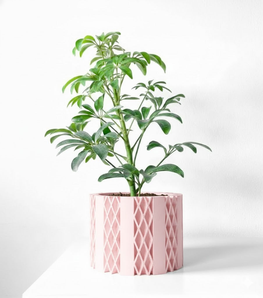 Arven Pflanztopf – Geometrie in Perfektion