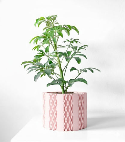 Arven Pflanztopf – Geometrie in Perfektion