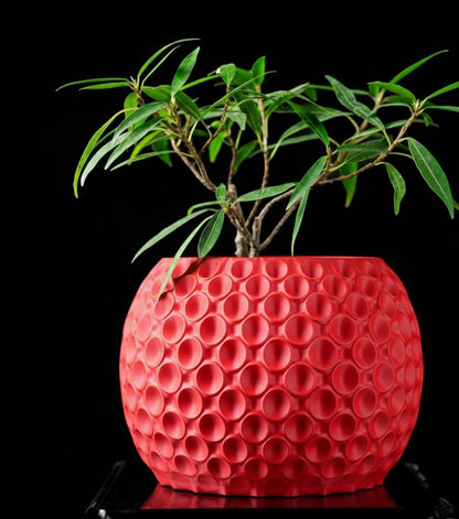 Bubble Planter Pot – Der verspielte 3D-Pflanztopf mit Struktur