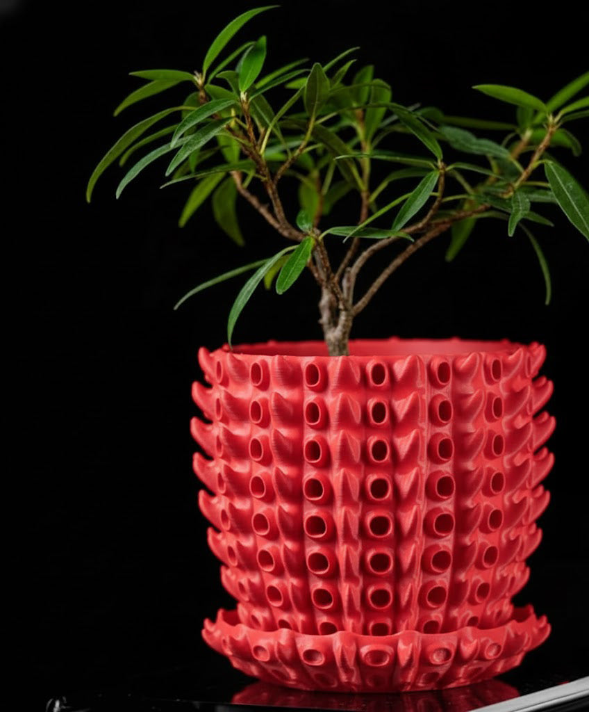 Barnacle – Der 3D-Pflanztopf mit organischer Tiefenstruktur