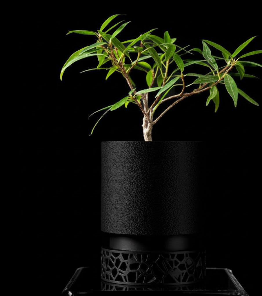 Vori 2.0 Pflanztopf – Urbaner Zylinder trifft filigranes 3D-Sockeldesign