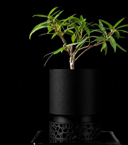 Vori 2.0 Pflanztopf – Urbaner Zylinder trifft filigranes 3D-Sockeldesign