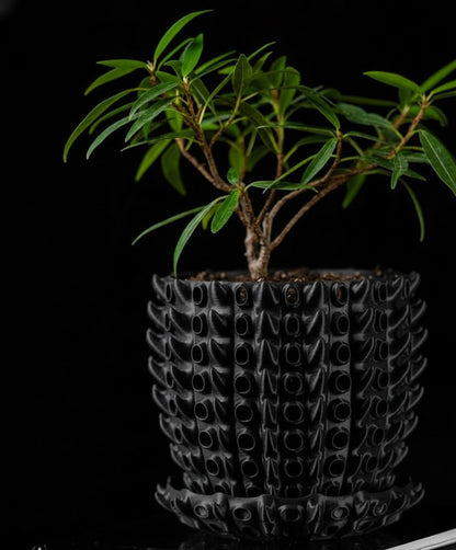 Barnacle – Der 3D-Pflanztopf mit organischer Tiefenstruktur