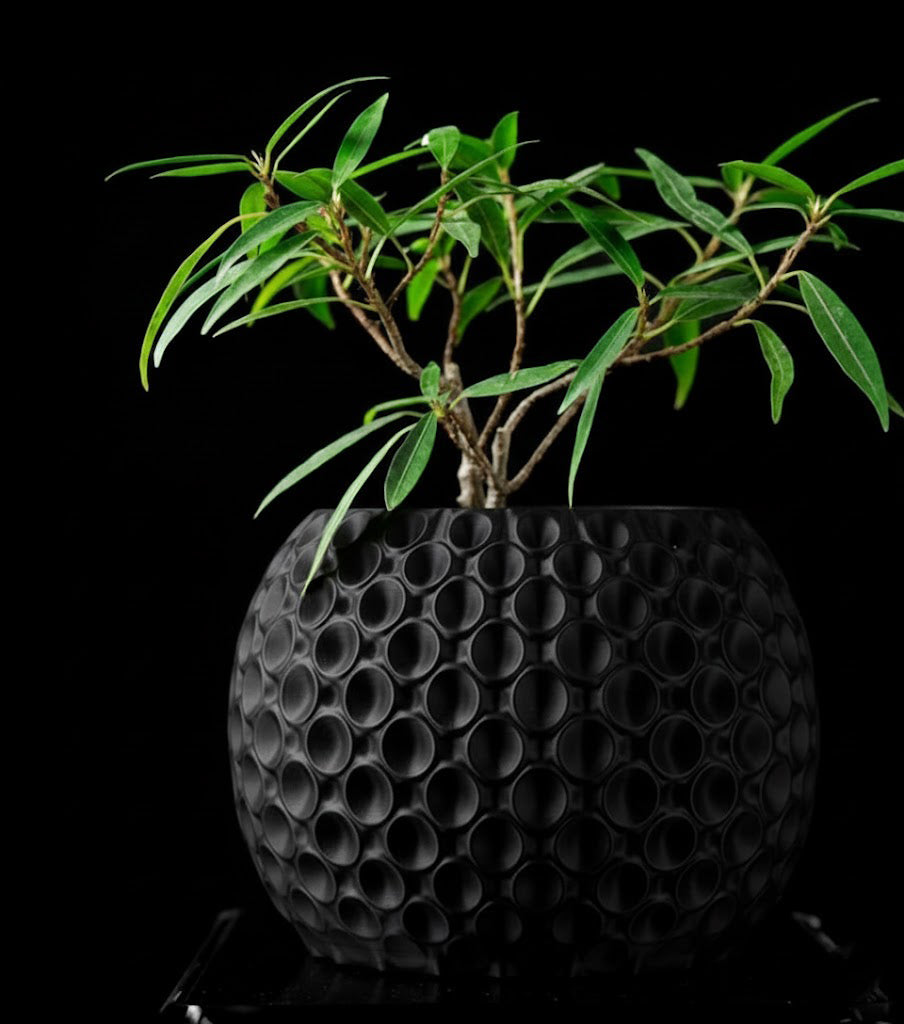 Bubble Planter Pot – Der verspielte 3D-Pflanztopf mit Struktur