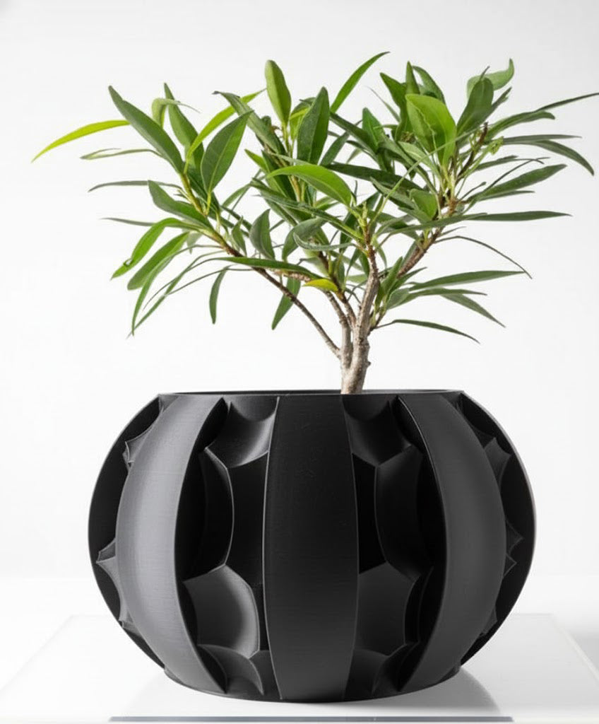 Der Erna – Skulpturale Eleganz trifft 3D-Pflanzenkultur