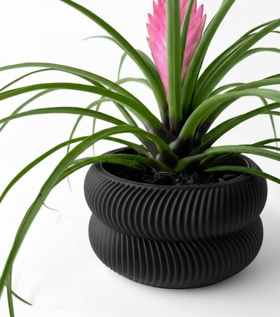 Avex Pflanztopf – Skulpturaler 3D-Pflanztopf mit organischer Doppelwellenform