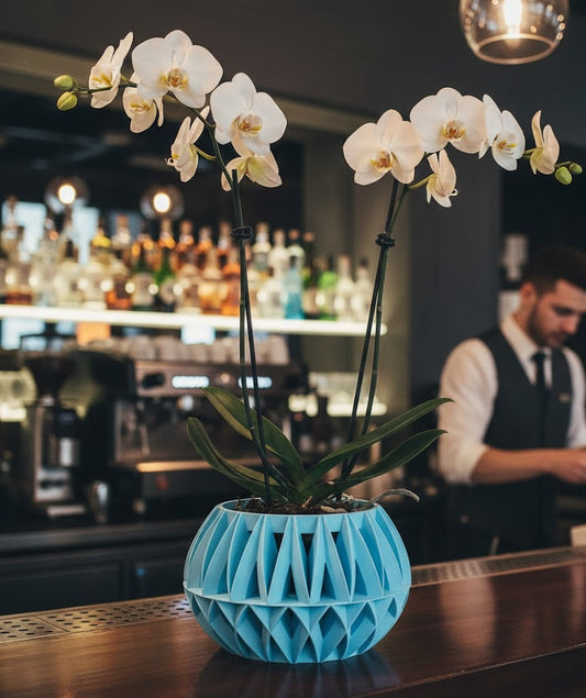 Der Oku 3D Orchideen-Pflanztopf – Geometrische Eleganz für deine Pflanzen