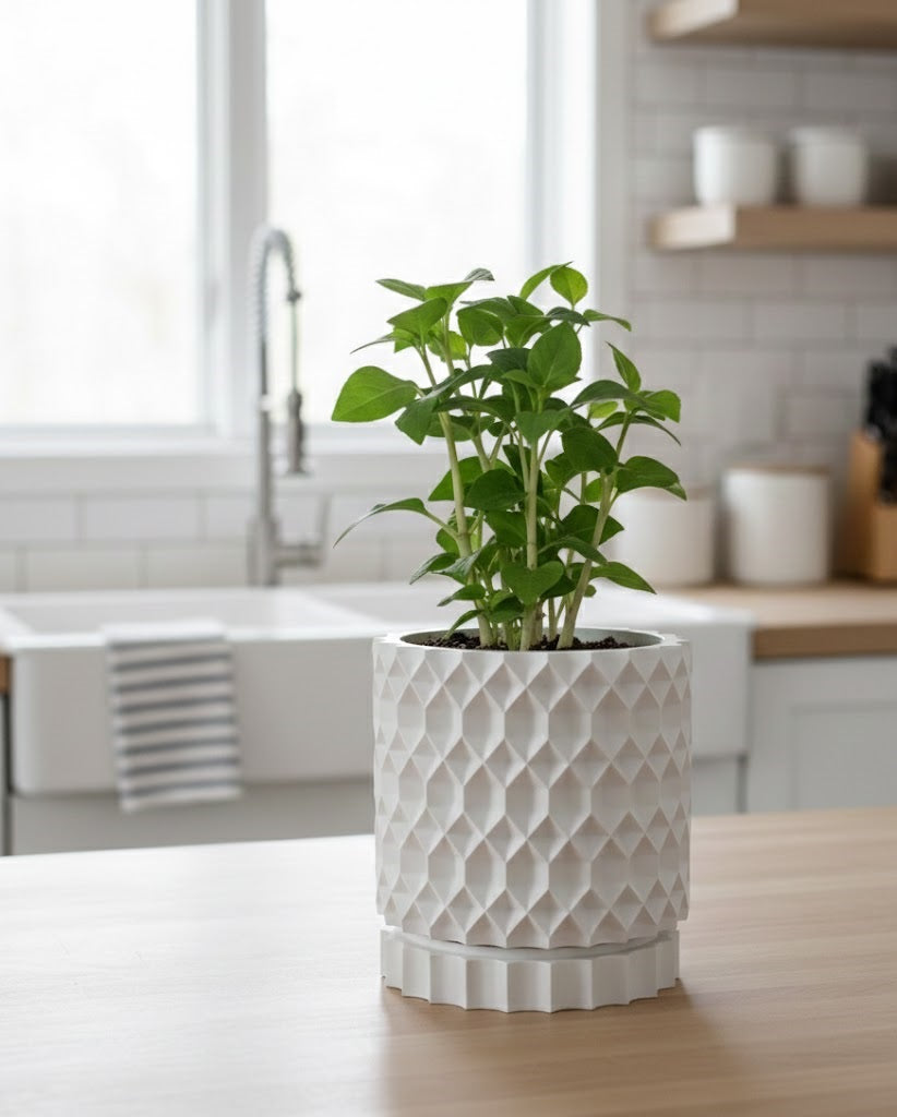 Rhon Pflanztopf – 3D-gedrucktes Design-Highlight für moderne Räume
