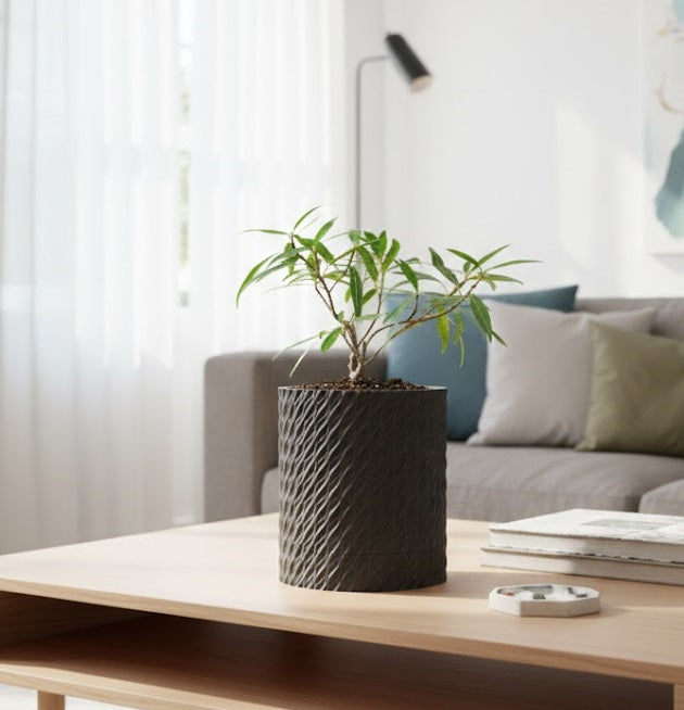 Flow Planter – Der spiraldynamische 3D-Pflanztopf