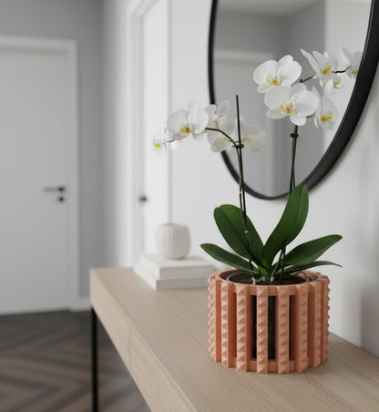 Farne Pflanztopf – Innovativer 3D-Orchideentopf mit durchdachtem Belüftungssystem