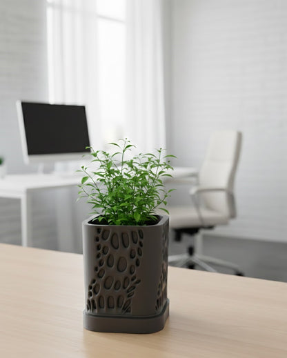 Vapor Planter Pot – Organisches 3D-Design trifft auf moderne Pflanzenästhetik