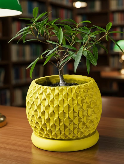 Bloom Planter – Der blüteninspirierte 3D-Pflanztopf mit organischer Struktur