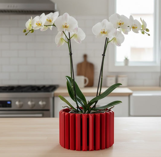 Eren Pflanztopf – Charakterstarker 3D-Orchideentopf mit kantigem Relief und Belüftungssystem
