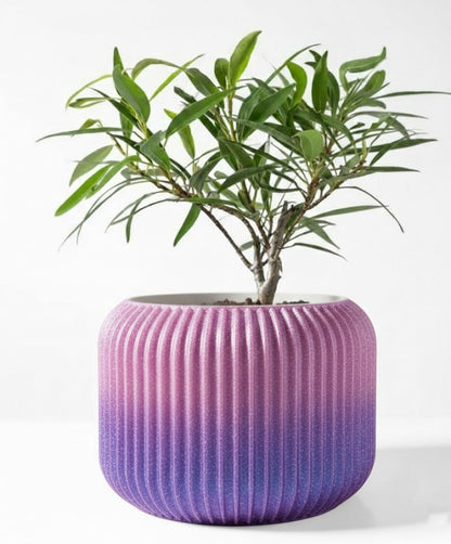 Der Unis – Zeitloser 3D-Pflanztopf mit rhythmischer Kontur