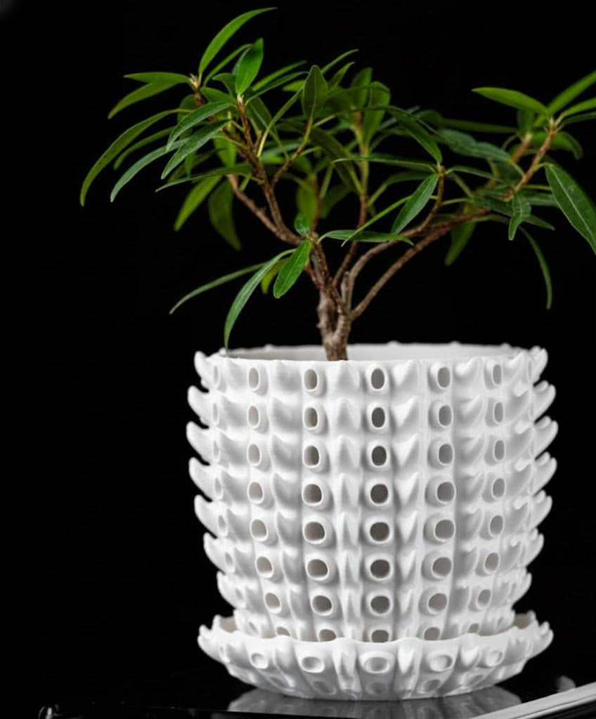 Barnacle – Der 3D-Pflanztopf mit organischer Tiefenstruktur