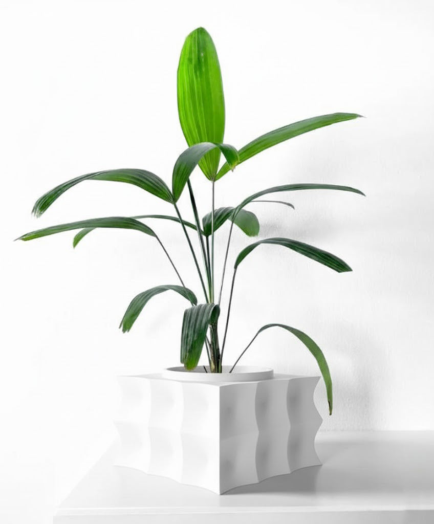 Averth Pflanztopf – Kubische Wellen mit Charakter