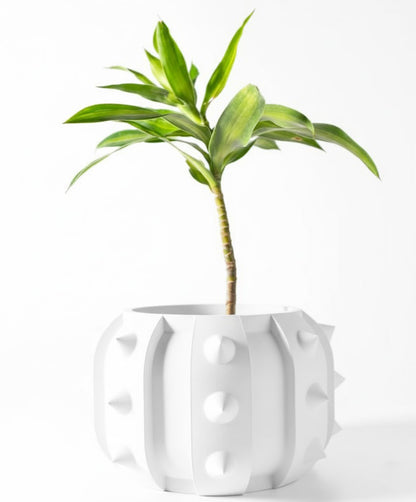 Alver – Der kantige 3D Charaktertopf