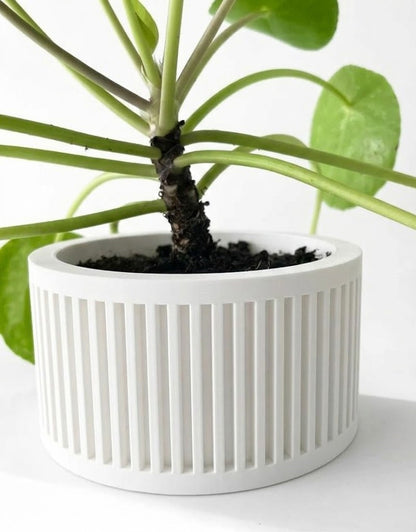 Paxon Pflanztopf – Moderner 3D-Design Blumentopf für stilvolles Wohnen