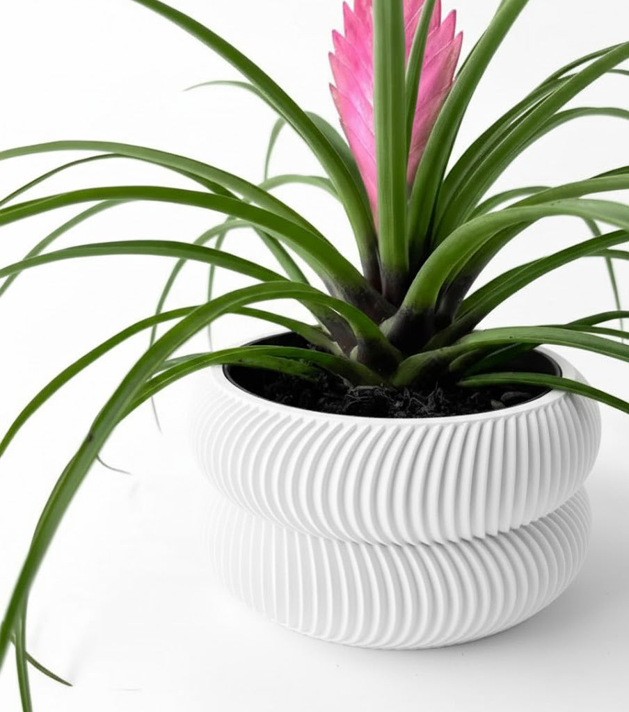 Avex Pflanztopf – Skulpturaler 3D-Pflanztopf mit organischer Doppelwellenform