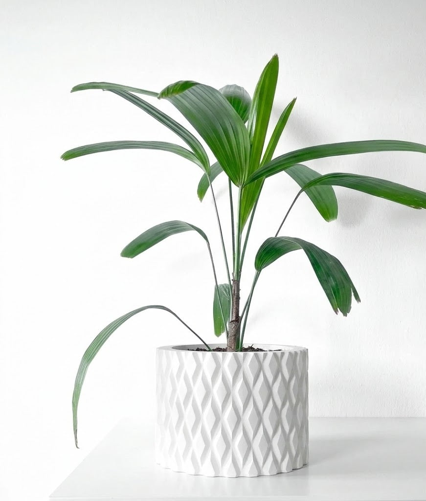 Pexil Pflanztopf – Grafische Eleganz in Perfektion