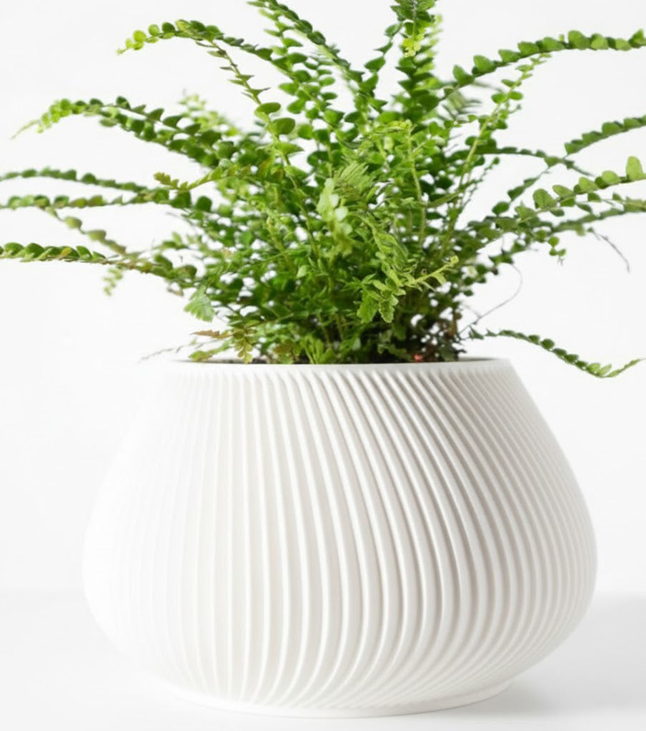 Davi Pflanztopf – Minimalistische Raffinesse in 3D