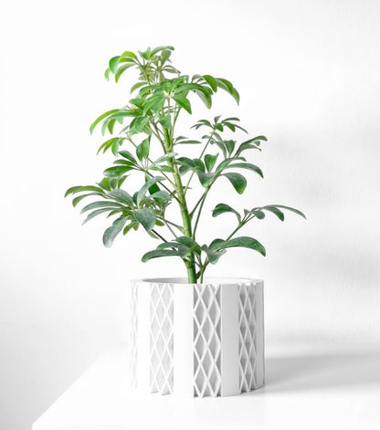 Arven Pflanztopf – Geometrie in Perfektion