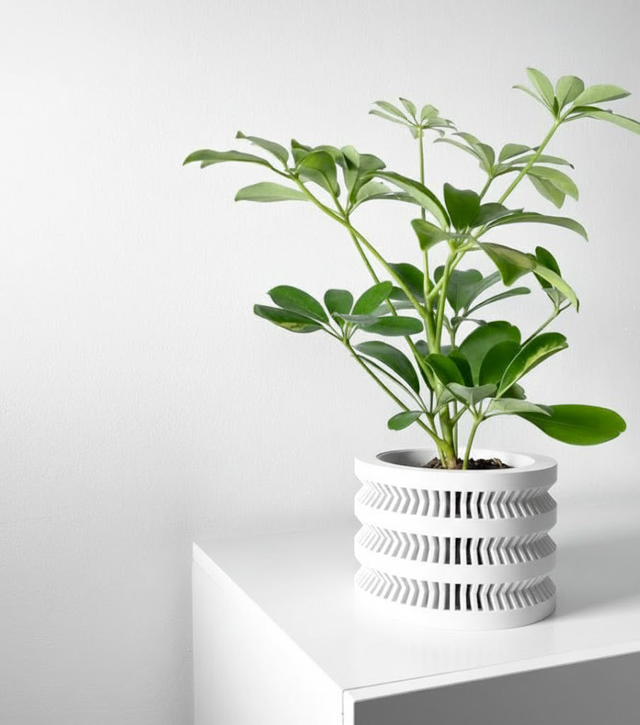 Civen Pflanztopf – Architektur in Pflanzenform