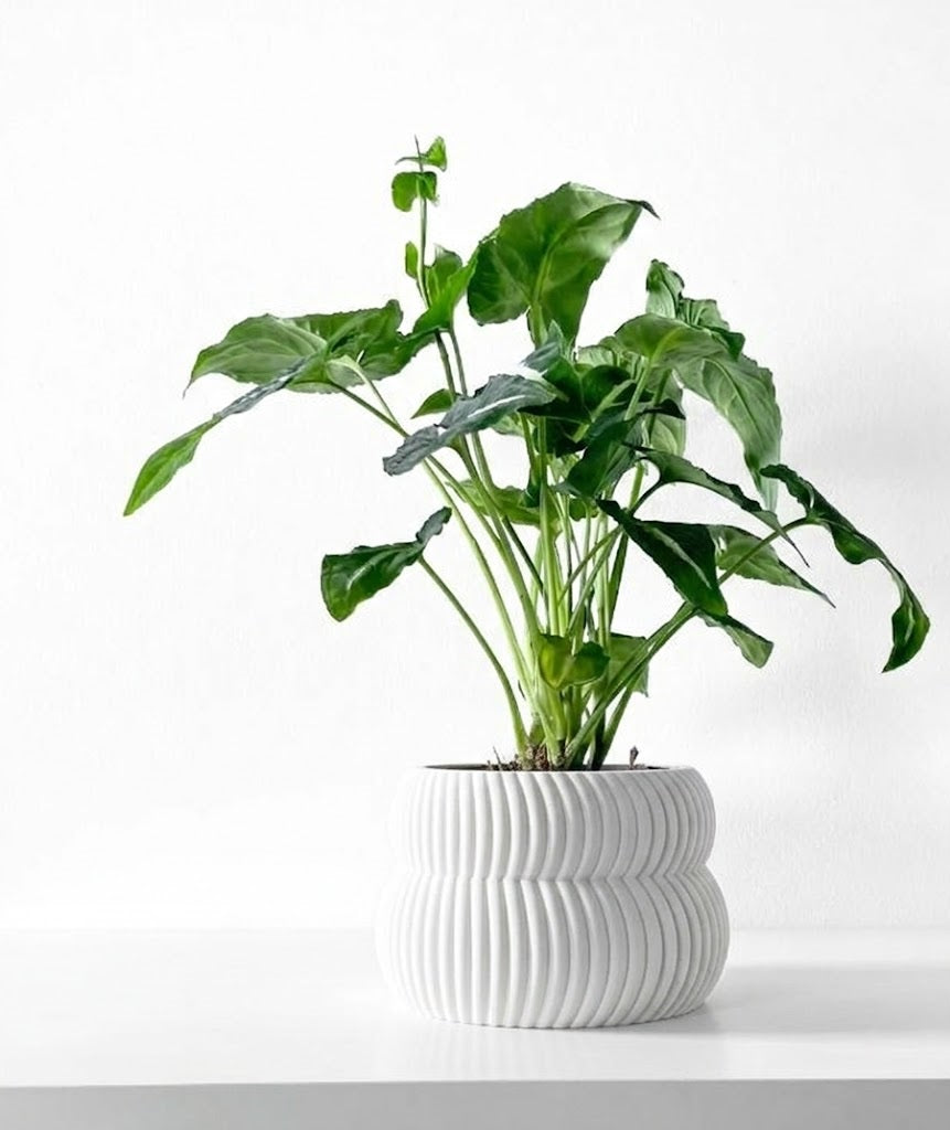 Quarn Pflanztopf – Weiche Konturen, starke Präsenz