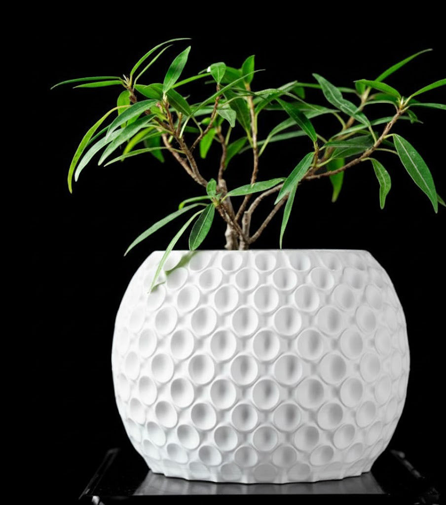 Bubble Planter Pot – Der verspielte 3D-Pflanztopf mit Struktur