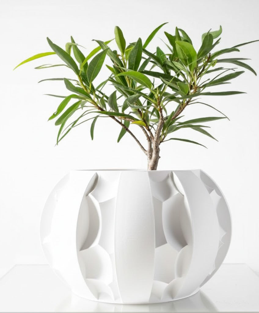 Der Erna – Skulpturale Eleganz trifft 3D-Pflanzenkultur