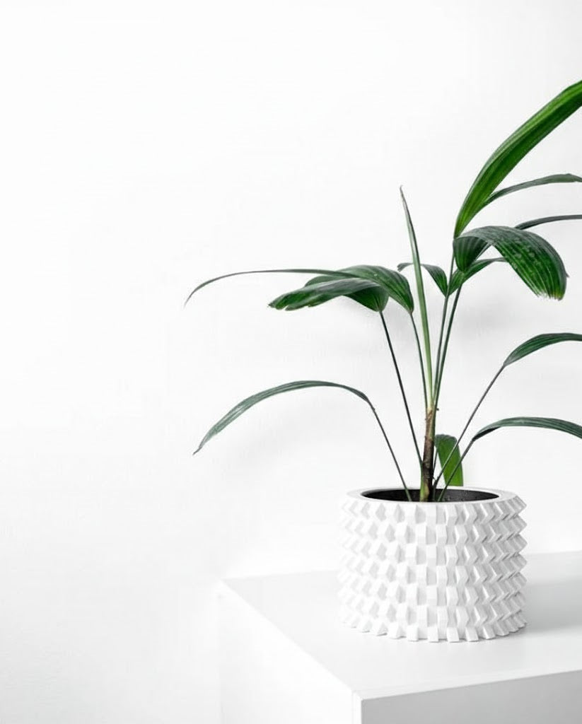 Rilvo Pflanztopf – Design mit Tiefenwirkung