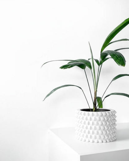 Rilvo Pflanztopf – Design mit Tiefenwirkung